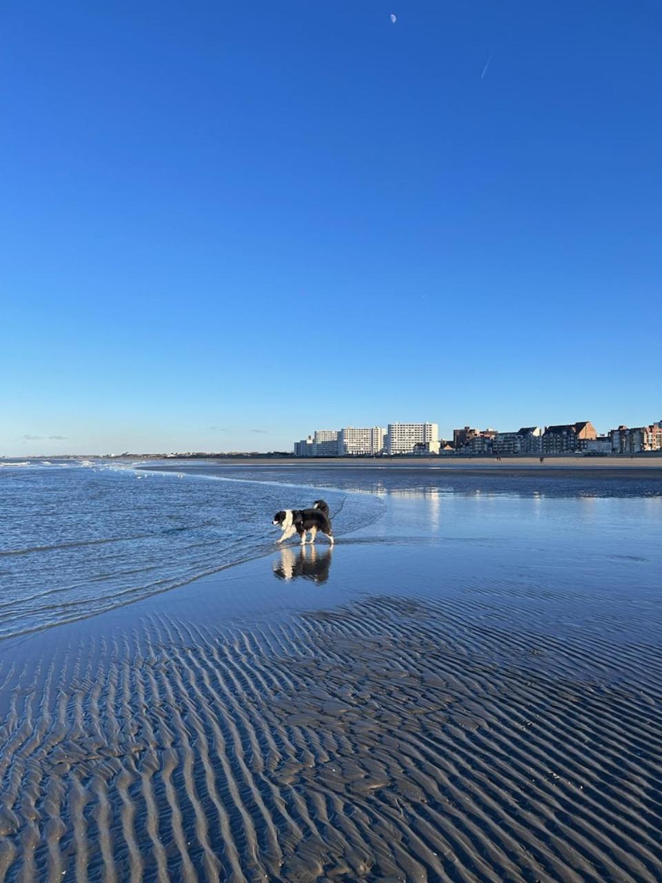 Appartement F2 Meuble Dunkirk Exteriör bild